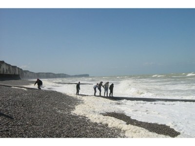 Holiday house Bungalow in Frankreich nahe Schloss & Wanderwege - Environment photo 32