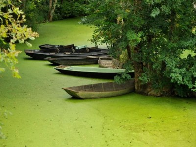 Holiday house Bungalow in Frankreich nahe Schloss & Wanderwege - Environment photo 37