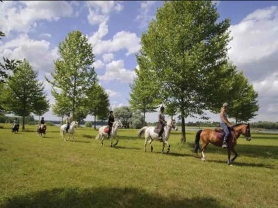 Holiday house Ferienhaus in Vaires-sur-Marne am Waldsee - Environment photo 25