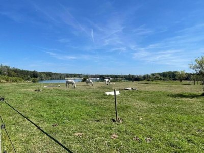 Holiday house Ferienhaus in Vaires-sur-Marne am Waldsee - Environment photo 33