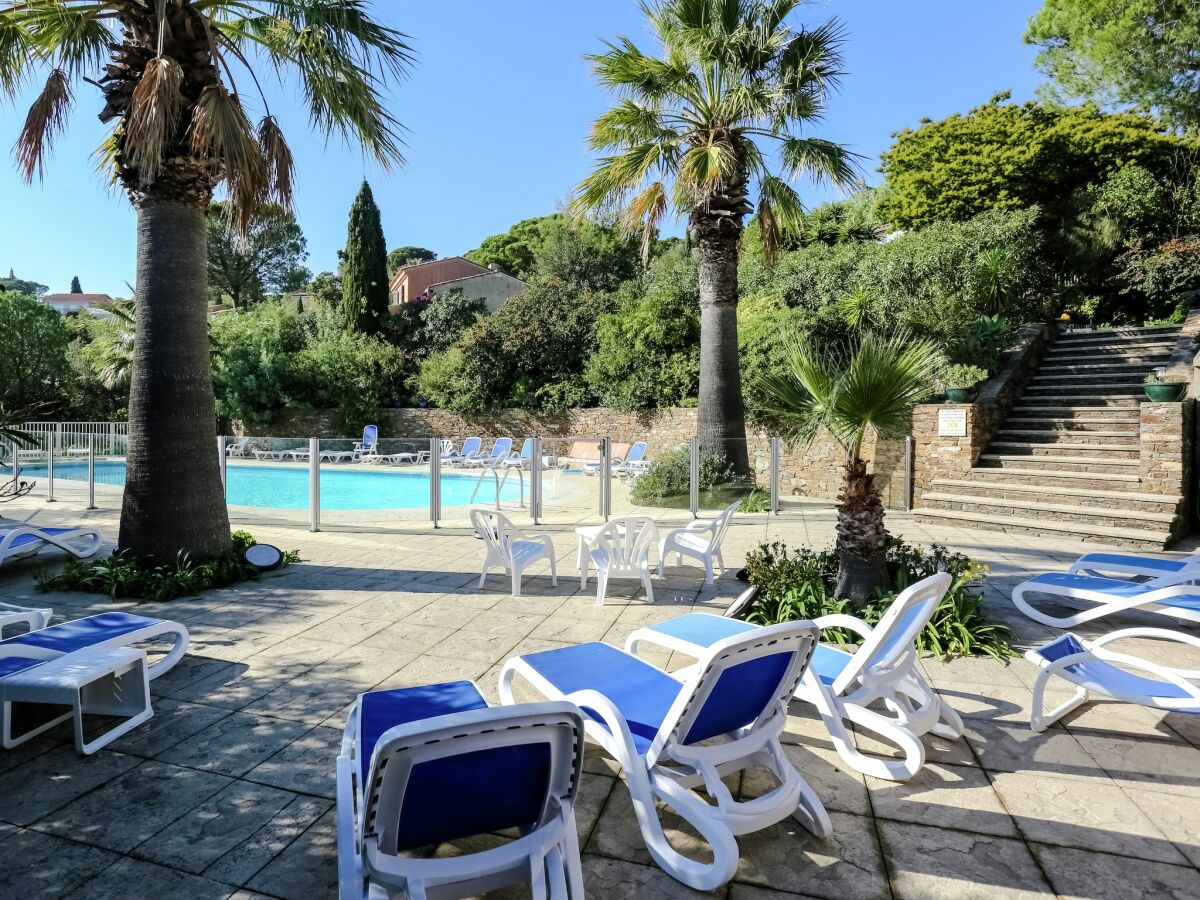 Holiday house Holiday Home in Bormes-les-Mimosas with Pool - Outdoor photo 2