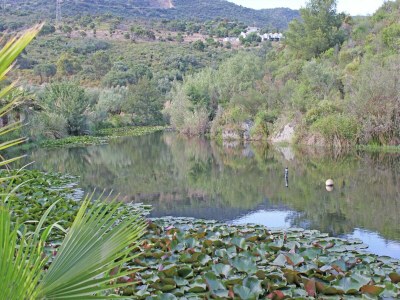 Holiday house Holiday Home in Bormes-les-Mimosas with Pool - Environment photo 30