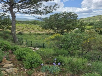 Holiday house Holiday Home in Bormes-les-Mimosas with Pool - Environment photo 37