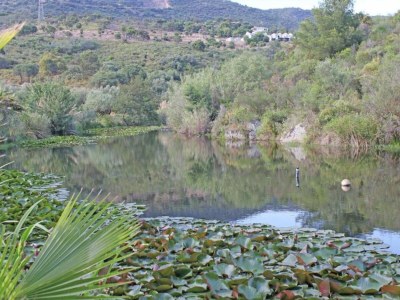Villa Villa in Cavalaire-sur-Mer am Meer - Environment photo 37