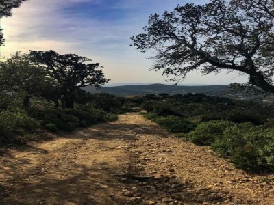 Villa Villa in Cavalaire-sur-Mer am Meer - Environment photo 38