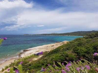 Villa Villa in Cavalaire-sur-Mer am Meer - Environment photo 39