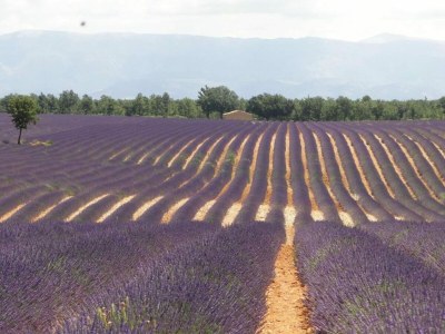 Holiday house Holiday Home in Le Luc with Pool & Vineyards - Environment photo 27