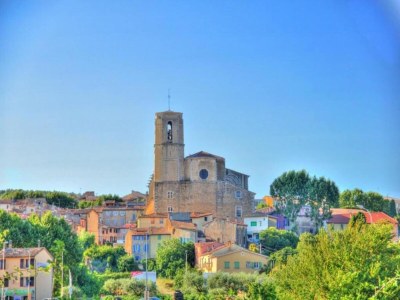 Holiday house Holiday Home in Le Luc with Pool & Vineyards - Environment photo 28