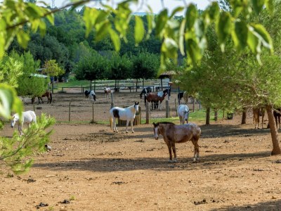 Holiday house Holiday Home in Le Luc with Pool & Vineyards - Environment photo 36