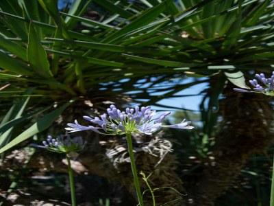 Villa Gorgeous Villa Les Issambres with Swimming Pool - Outdoor photo 10
