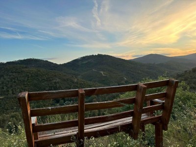 Villa Gorgeous Villa Les Issambres with Swimming Pool - Environment photo 39