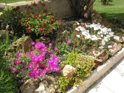 Villa Villa in Provence with Pool and Garden - Outdoor photo 4