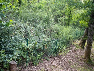 Villa Villa in Provence with Pool and Garden - Environment photo 29