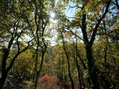 Villa Villa in Provence with Pool and Garden - Environment photo 30