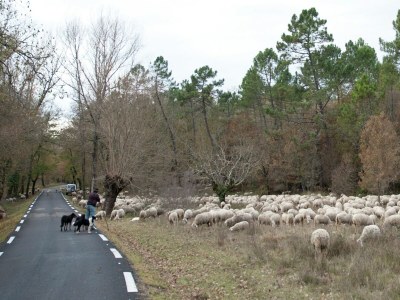Villa Villa in Provence with Pool and Garden - Environment photo 36
