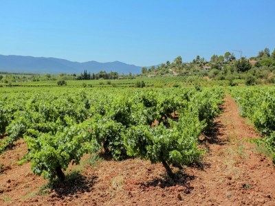 Villa Villa in Vidauban mit privatem Pool - Outdoor photo 11