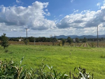 Villa Villa in Vidauban mit privatem Pool - Environment photo 22