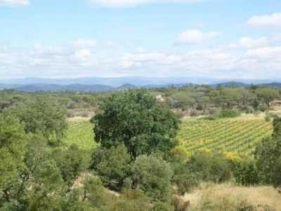 Villa Villa in Vidauban mit privatem Pool - Environment photo 24