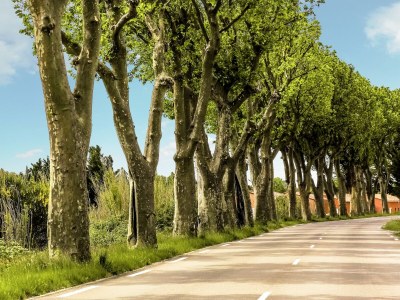 Villa Villa in Vidauban mit privatem Pool - Environment photo 28