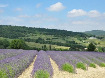 Villa Villa in Vidauban mit privatem Pool - Environment photo 29