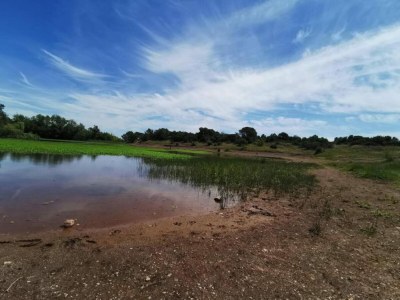Villa Villa in Vidauban mit privatem Pool - Environment photo 31