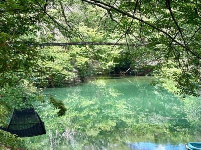 Villa Villa in Vidauban mit privatem Pool - Environment photo 35