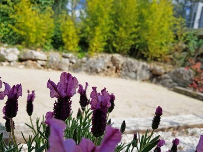 Villa Villa in Vidauban mit privatem Pool - Outdoor photo 40