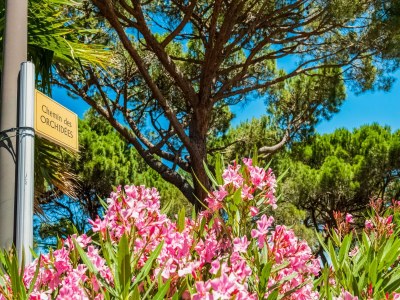 Holiday house Holiday Home in Gassin near Saint Tropez - Outdoor photo 28