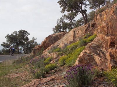 Holiday house Villa in Bagnols mit Pool & Naturparks - Environment photo 25