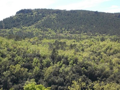 Holiday house Villa in Bagnols mit Pool & Naturparks - Environment photo 26