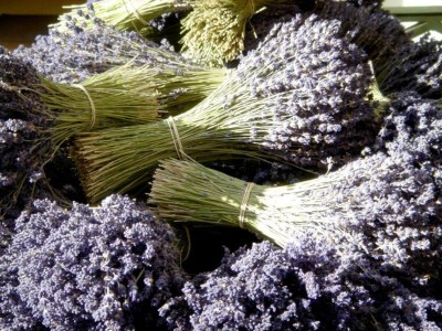 Holiday house Villa in Bagnols mit Pool & Naturparks - Environment photo 28