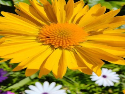 Holiday house Villa in Bagnols mit Pool & Naturparks - Environment photo 37