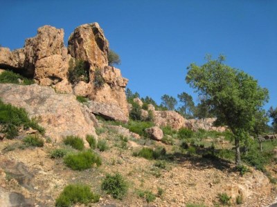 Holiday house Villa in Bagnols mit Pool & Naturparks - Environment photo 38