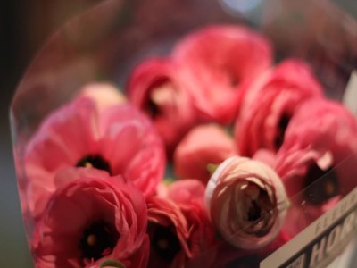 Villa Villa in Les Adrets with Pool & Hill Views - Outdoor photo 40