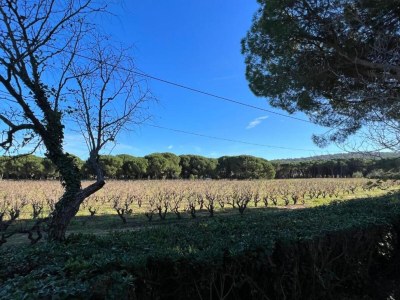 Villa Villa in Gassin near Saint Tropez Beaches - Environment photo 29