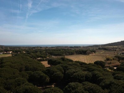 Villa Villa in Gassin near Saint Tropez Beaches - Environment photo 37