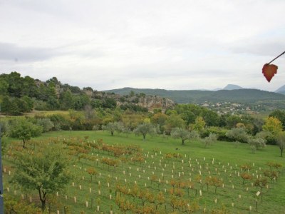 Cottage Holiday Home near Mont Ventoux Pool - Outdoor photo 8