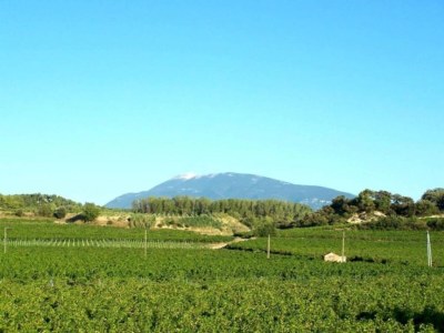 Cottage Holiday Home near Mont Ventoux Pool - Environment photo 38