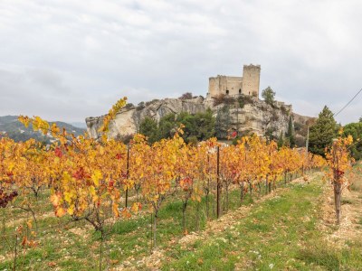 Holiday house Villa in Provence bei Vaison-la-Romaine - Environment photo 34