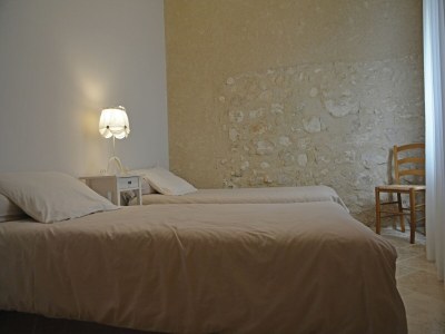 Villa Farmhouse in Carpentras with Pool - Features photo 21