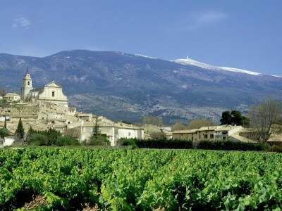 Villa Farmhouse in Carpentras with Pool - Environment photo 29