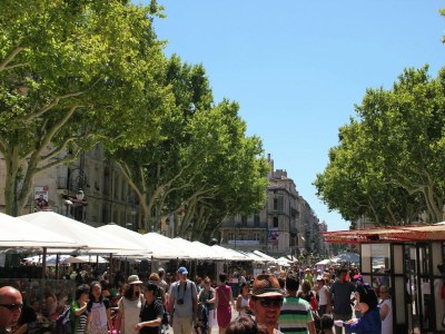 Villa Farmhouse in Carpentras with Pool - Environment photo 30