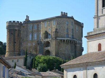 Villa Farmhouse in Carpentras with Pool - Environment photo 32