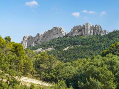 Villa Farmhouse in Carpentras with Pool - Environment photo 37