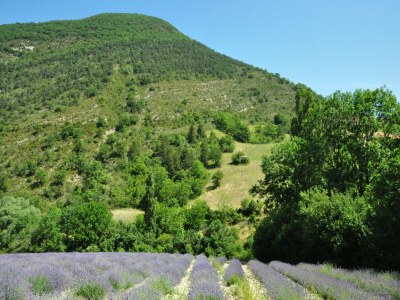 Villa Villa in Malaucène near Mount Ventoux - Environment photo 28