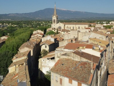 Villa Villa in Malaucène near Mount Ventoux - Environment photo 29