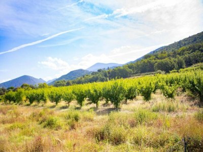 Villa Villa in Malaucène near Mount Ventoux - Environment photo 33