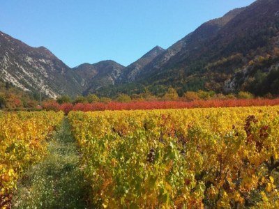 Villa Villa in Malaucène near Mount Ventoux - Environment photo 36