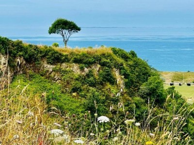 Villa Villa in Malaucène near Mount Ventoux - Environment photo 37