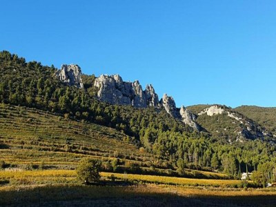 Villa Villa in Malaucène near Mount Ventoux - Environment photo 38
